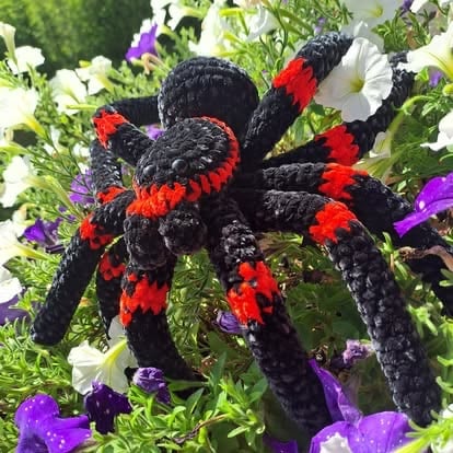 Black tarantula with red markings on a flower garden with purple, white, and yellow blooms